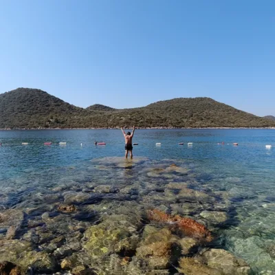 Domuz Adası Hakkında Bilgi